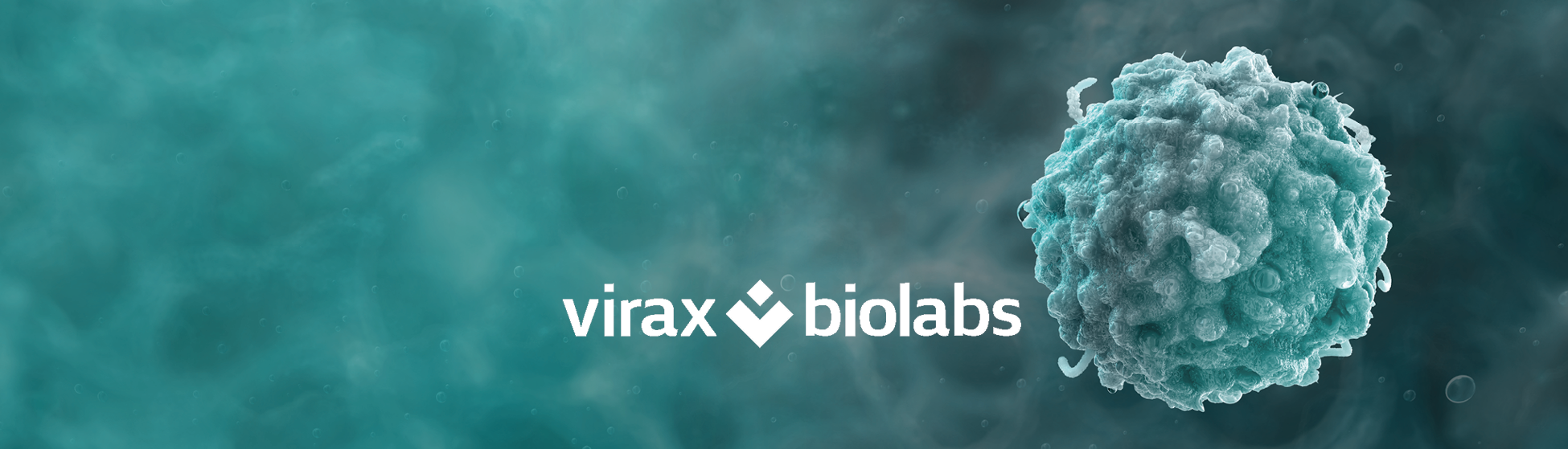 New partner: Virax Biolabs