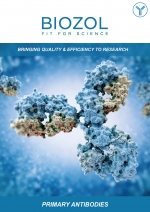 BIOZOL Brochure Primary Antibodies