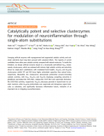 Catalytically potent and selective clusterzymes for modulation of neuroinflammation through single-atom substitutions