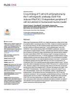 Cross-linking of T cell to B cell lymphoma by the T cell bispecific antibody CD20-TCB induces IFNγ/CXCL10-dependent peripheral T cell recruitment in humanized murine model
