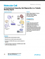 A Contaminant Impurity, Not Rigosertib, Is a Tubulin Binding Agent
