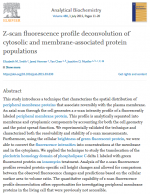 Z-scan-fluorescence-profile-deconvolution
