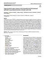 Opposing USP19 splice variants in TGF-β signaling and TGF-β-induced epithelial–mesenchymal transition of breast cancer cells