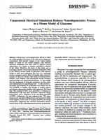 Transcorneal-Electrical-Stimulation