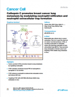 Cathepsin C promotes breast cancer lung metastasis by modulating neutrophil infiltration and neutrophil extracellular trap formation