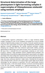 Structural-determination-of-the-large-photosystem