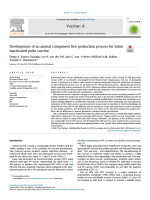 Development of an animal component free production process for Sabin inactivated polio vaccine