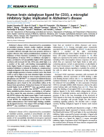 Human brain sialoglycan ligand for CD33, a microglial inhibitory Siglec implicated in Alzheimer's disease