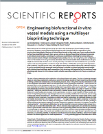 Engineering-biofunctional-in-vitro