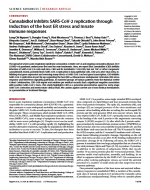 Cannabidiol inhibits SARS-CoV-2 replication through induction of the host ER stress and innate immune responses
