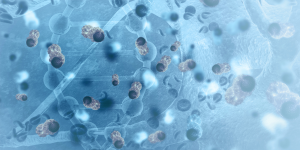 Pan-Cancer Markers