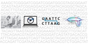 scientific-content-tools