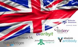 brexit