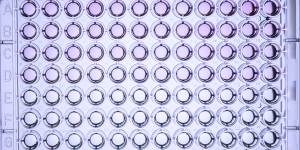 Unbeschichtete ELISA-Kits von Elabscience