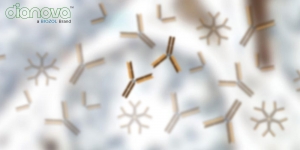 Secondary-Antibody-Selection-Guide