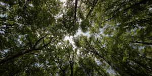 ECO-TEK® eco-friendly components for immunoassays