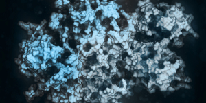 Recombinant antibodies and proteins