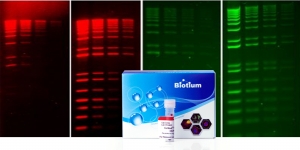 GelRed and GelGreen from Biotium