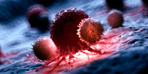 Cancer Cells