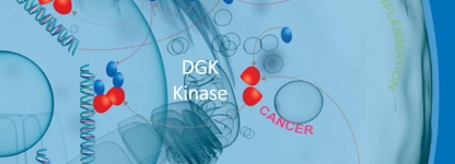 DGK Kinasen von SignalChem