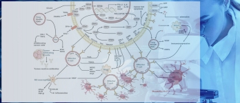 Immune Checkpoint Marker