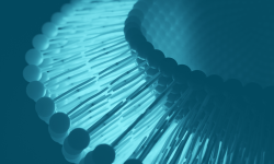 Lipid-Nanopartikel