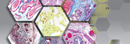 ScyTek-Special-Stains-Histology