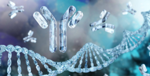 ChIP-Exo-Seq validierte Antikörper von Atlas Antibodies