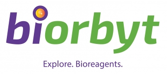 Biorbyt biorbyt