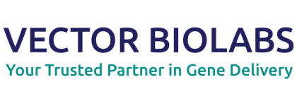 Vector Biolabs vector-biolabs