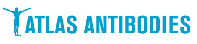 logo Atlas Antibodies Atlas Antibodies