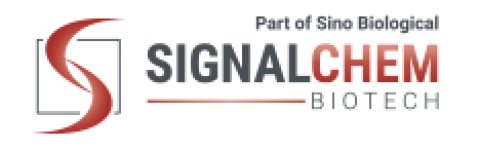 SignalChem SignalChem