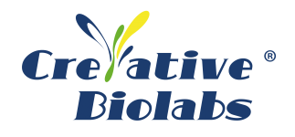 Creative Biolabs