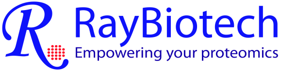 RayBiotech RayBiotech
