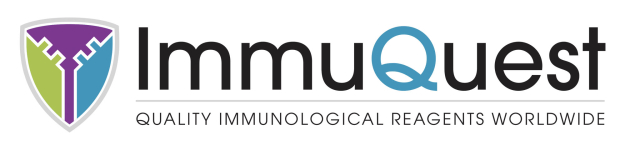 Logo ImmuQuest ImmuQuest