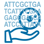 BIOZOL Hybridom-Sequenzierungsservice
