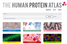 proteinatlas
