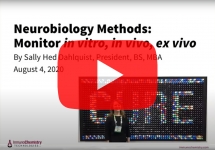 immunochemistry-neurobiology