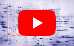 cygnus-hcp-immunoassays