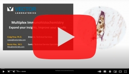 Vector Webinar Multiplex Immunhistochemie