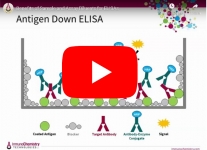 immunochemistry-elisa
