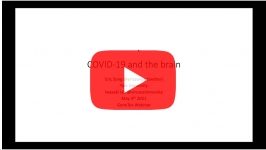 genetex-covid-and-the-brain