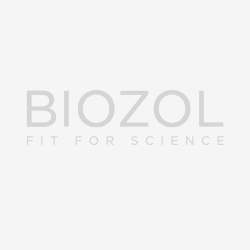 The IL-8–Regulated Chemokine Receptor CXCR7 Stimulates EGFR Signaling to Promote Prostate Cancer Growth